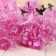 Artificial flowers "violet on a branch" 5x80 cm, pink
