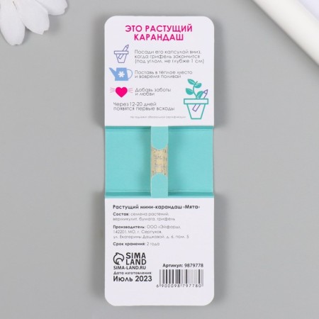 Growing Gift pencils Mini gain calm "Mint"-1