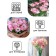 Eustoma Seibsi "Aibisi" F1 Rose Rome Large -flowered terry, 5 pcs.