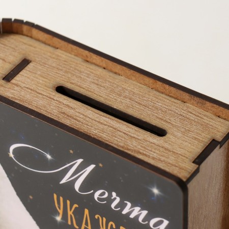 New Year's piggy bank “Dream will indicate the path” 14x12x5 cm-3