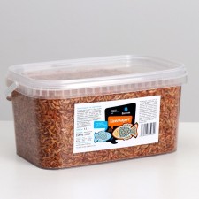 Barromarus, carcass, bucket of 3.3 liters of fish and turtles.