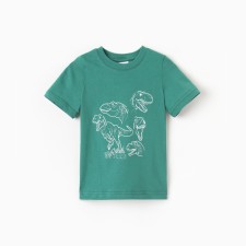 T-shirt for the boy 