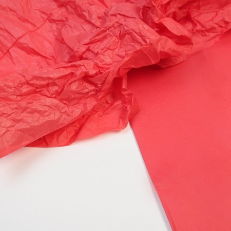 Packaging Paper Coherent 50 cm x 66 cm-1