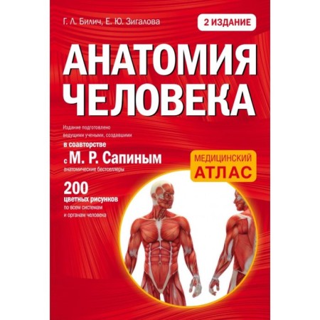 Human anatomy. 2 edition. Bilich G.L., Zigalova E.Yu.