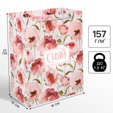 Gift package 