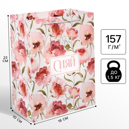 Gift package "Shine" 18x23x10 cm, packaging, princesses