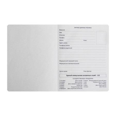 Universal diary for grade 1-11 Don’t Panic!, Integral cover, artificial leather, silk-screen printing, lies, 80 g/m2-3
