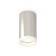 Ambrella Light overhead lamp, XS6325040, MR16 GU5.3 LED 10 watts, silver color, white matte