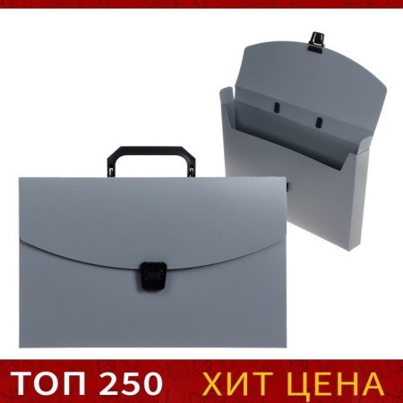 A4 Portfire folder, 1 department, 700 μm, calligrata, up to 300 sheets, gray