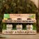 Set "Eucalyptus, pine oil, fir" 3 essential aromatic oils 100% 15ml