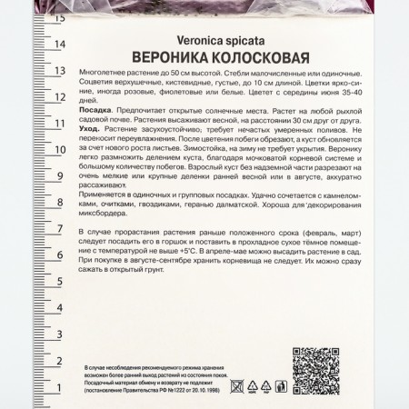 Veronika Koloskova Haydekind, Rr. I, 1 pc, spring 2025-3