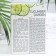 Mask modeling, whitening, 10pcs. 15 ml