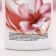 Gift set of cosmetics “Find the tenderness”, shower gel 250 ml and bath bombs 4 pcs, pure happiness
