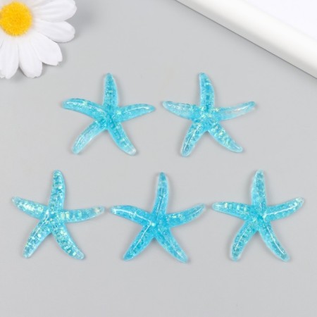 Decor for creativity Plastic "Blue Sea Star" mica 4x4 cm-2