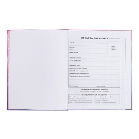 School diary for grades 1-11, 48 sheets "Alice", hard cover, selective pearl varnish, foil embossing, matte lamination, universal cheat sheet, block 65g/m2-4