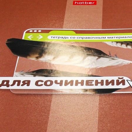 The subject “Bright color”, 48 sheets in the line “for essays”, the cover coated cardboard, selective varnish, with reference material-4