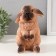 Piggy bank "Rabbit No. 4 Siamese color" height 17.5 cm, width 11.5 cm, length 11.5 cm