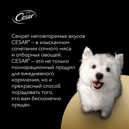 Wet Cesar food for dogs, lambs with vegetables in sauce, spider, 85 g-6