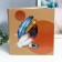 Photo album magnetic 20 sheets "Figs and circles" in a box 34x4x33 cm