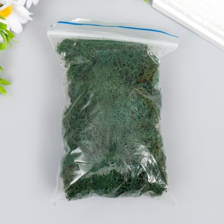 Moss stabilized "gray green" 45 grams (+-5 gr)-2
