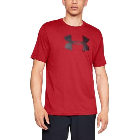 Men's T-shirt Under Armor Big Logo SS, size 46-48 (1329583-600)