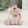 Souvenir Ceramics "Gray cat with spotted ears" 7.7x9.2 cm