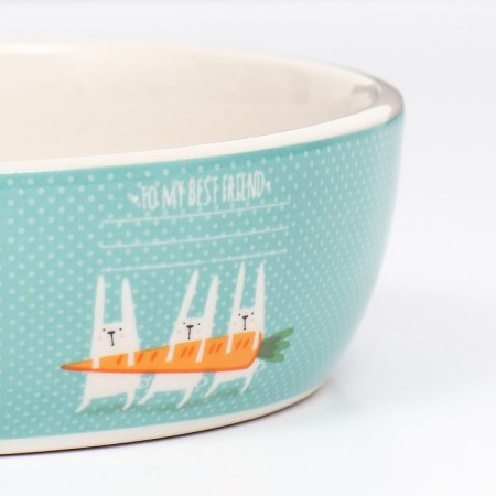Ceramic bowl "for rabbits" 300ml, 12 x 3.5 cm-3