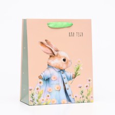Gift package 
