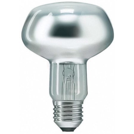 Incandescent lamp Favor, E27, 40 W, 245 lm