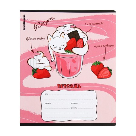 Notebook of 18 sheets in the Erichkrause "Smurzi", the cover coated cardboard, block offset, mix-2