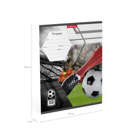 Notebook of 18 sheets in the Erichkrause Dribbling cage, cover coated cardboard, offset block, mix-10