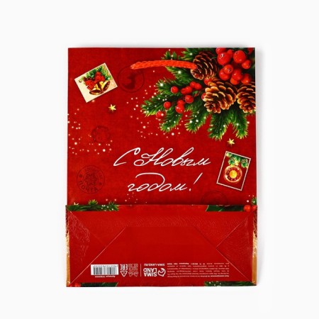 Package Gift New Year Laminated "New Year's History", MS 18 x 23 x 8 cm, New Year-5