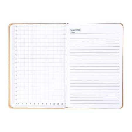 The diary is low, the PVC cover, A5 format, 140 l, cell, with a strap, beige-10