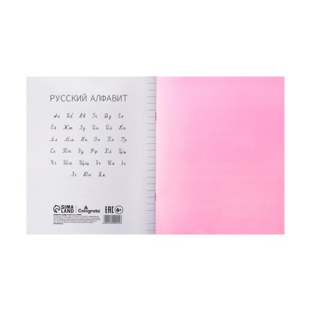 Notebook 24 sheets in the Calligrata "Red" line, plastic cover, with alphabet, OFSET block-4