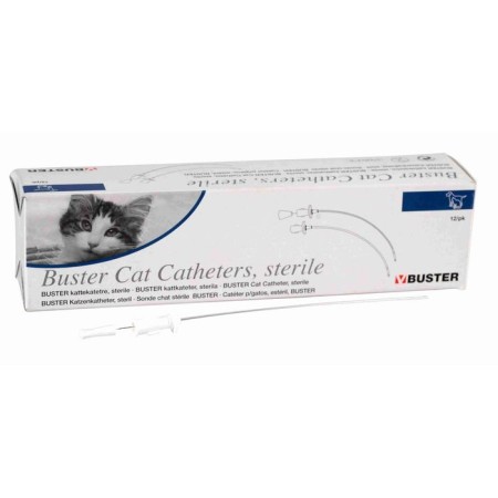 Kruuse catheter sterile for cats 1.3x130 mm with a stylet