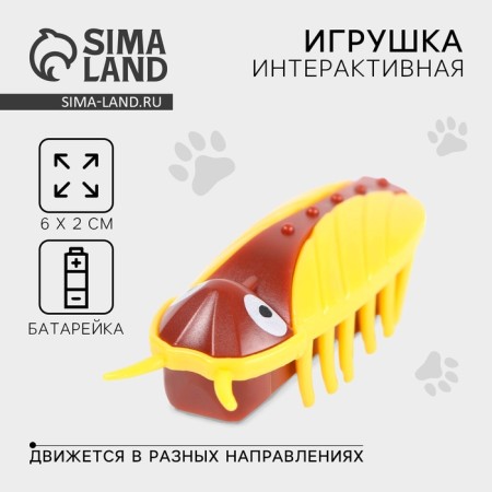 Interactive toy for cats "Tarakan"