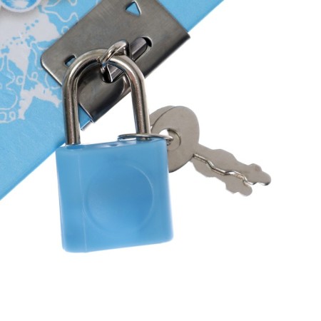 Notebook Gift Book on the lock, A5, 50 sheets, line, "Flowerers", mix-2