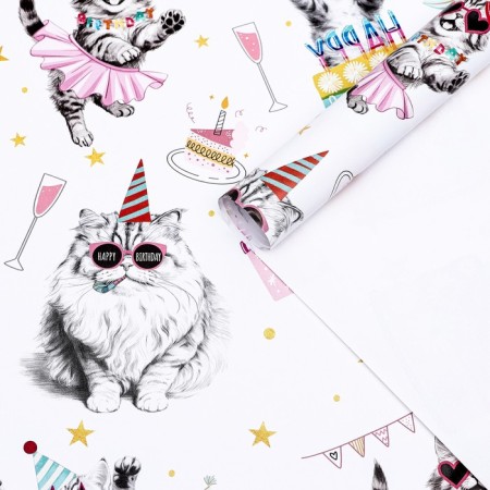 Package Paper, glossy "Dance congratulations", 50 x 70 cm