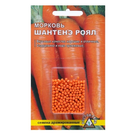 Semen carrots "Chantene Royal" Simple Drage, 300 pcs