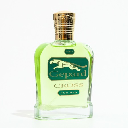 Altro Aroma Gepard Cross Water Male, 95 ml-3