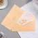 Money envelope "Universal" velvet, beige background, rings, 19x9.3 cm