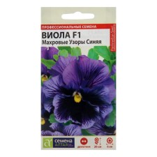 Viola flowers 