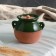 Ceramic baking pot "Dizi", 1 l, 1 variety, Iran