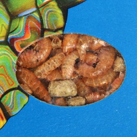 Feed Zoomir "Tort" for turtles, box, 15 g.-1
