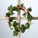 Wreath on the door interior "Easter testicles with leaves" d = 18 cm
