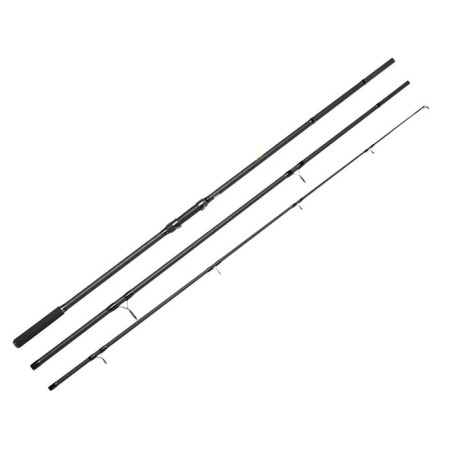 The Karpovs Salmo Diamond Carp rod, test 1-120, length 3.6 m.