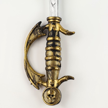 Pirate saber-1