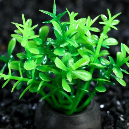 Artificial aquarium plant, 5 cm, green-1
