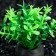 Artificial aquarium plant, 5 cm, green