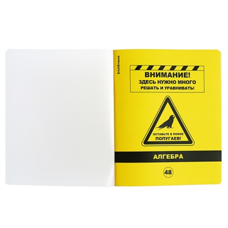 Subject notebook, 48 sheets, cage, algebra, Erichkrause "BE Informed", plastic cover silk-screen covers, Bellar Beliac block 100%, information block-2